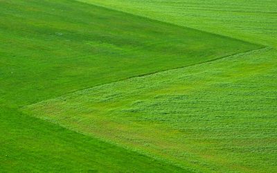 Autorizzazione paesaggistica semplificata: oggi in vigore.