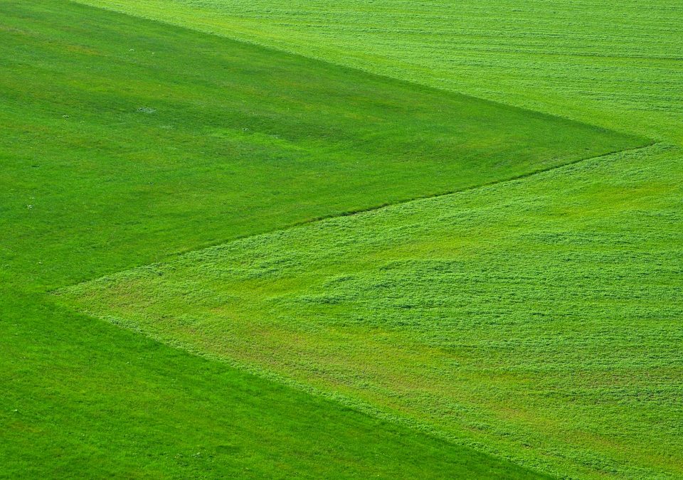 Autorizzazione paesaggistica semplificata: oggi in vigore.
