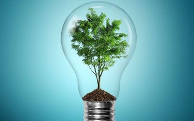 Contenzioso climatico e diritti umani: nuove idee per i giuristi del futuro, in Ordine Internazionale e Diritti Umani (OIDU) · 15 dic 2023