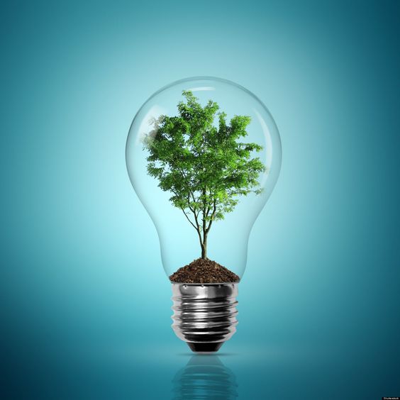 Contenzioso climatico e diritti umani: nuove idee per i giuristi del futuro, in Ordine Internazionale e Diritti Umani (OIDU) · 15 dic 2023